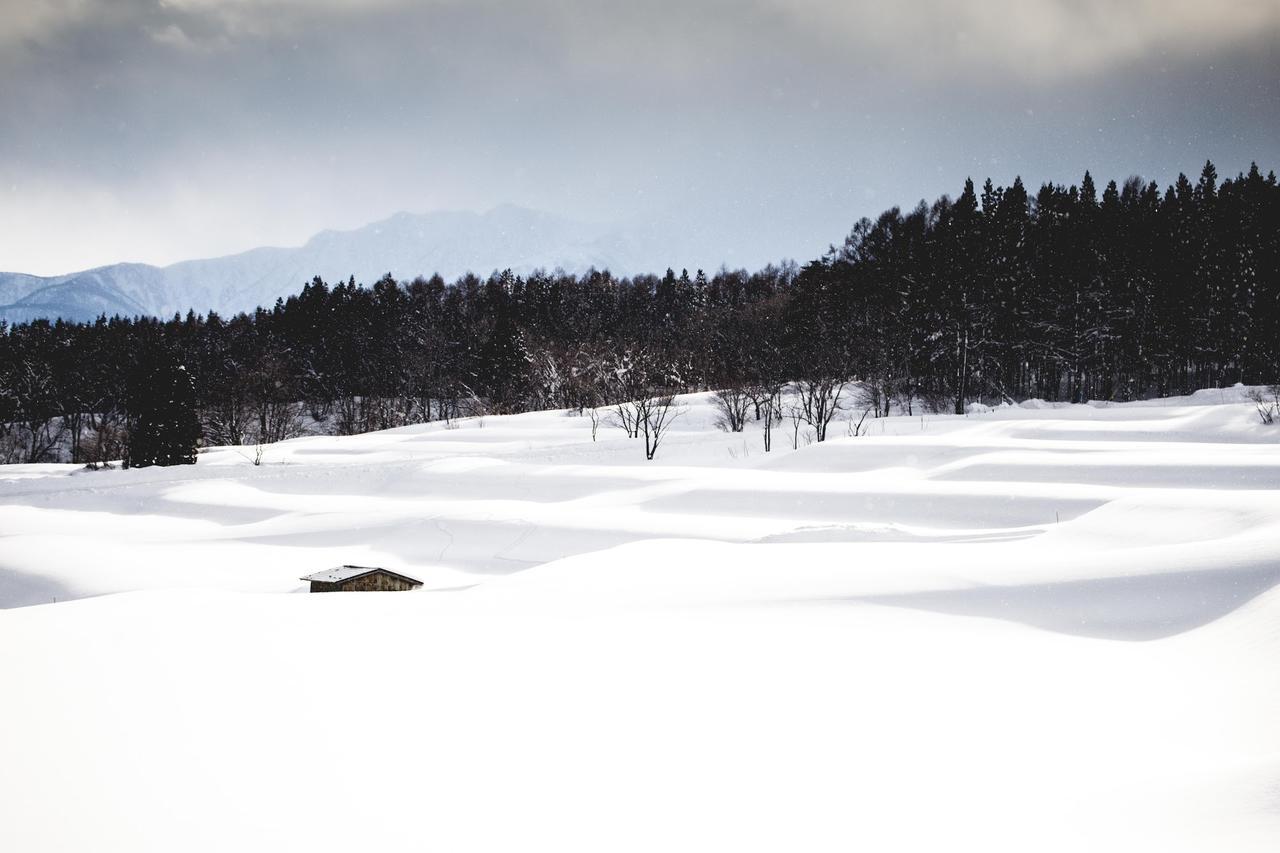 Hakuba Cortina Lodge Otari Exteriör bild